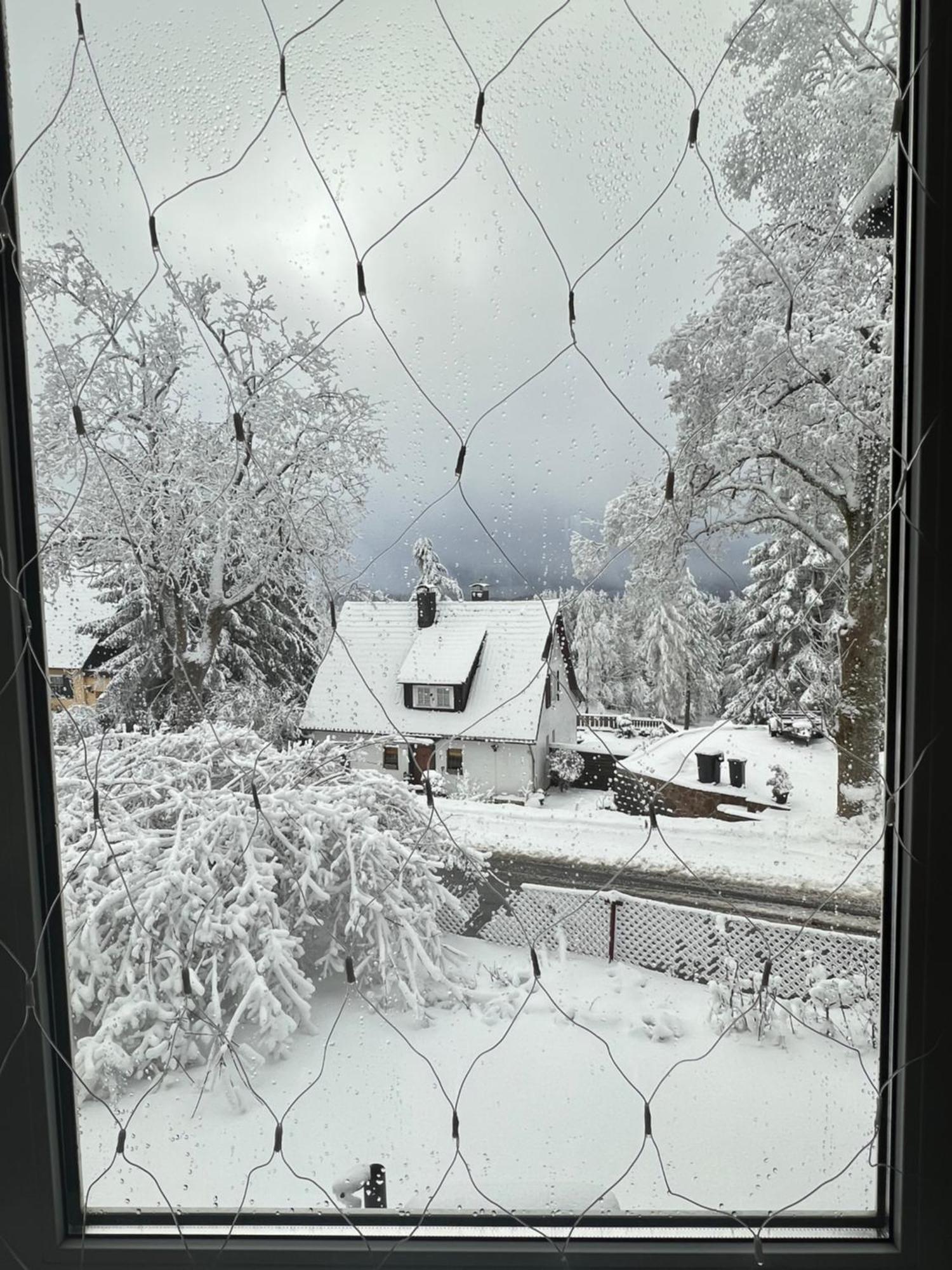 Chalet627 Braunlage Exterior foto